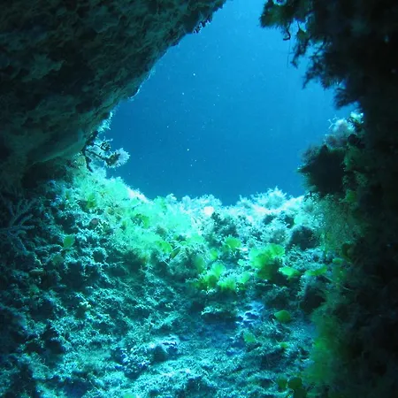 Stazzo Dell'antica Trebbia * Santa Teresa di Gallura