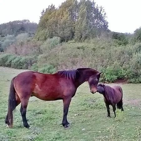 빌라 Stazzo Dell'antica Trebbia