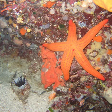 Stazzo Dell'antica Trebbia *