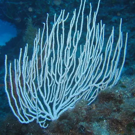 빌라 Stazzo Dell'antica Trebbia *