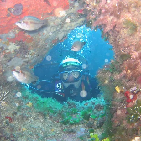 빌라 Stazzo Dell'antica Trebbia