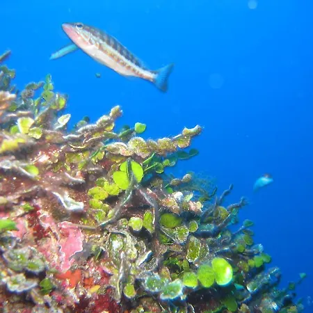 Stazzo Dell'antica Trebbia 빌라 산타테레사의갈루라