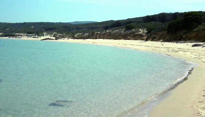 Stazzo Dell'antica Trebbia