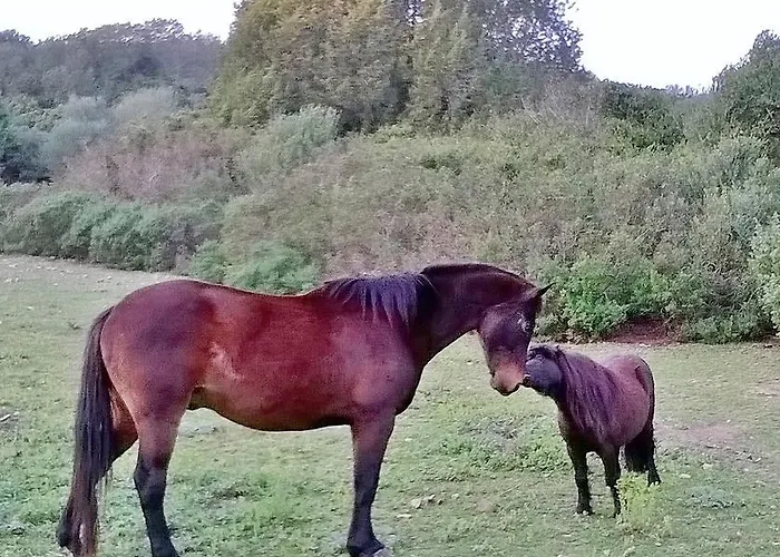 Villa Stazzo Dell'antica Trebbia