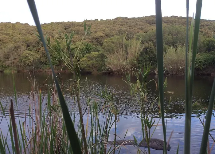 Stazzo Dell'antica Trebbia * Santa Teresa Gallura