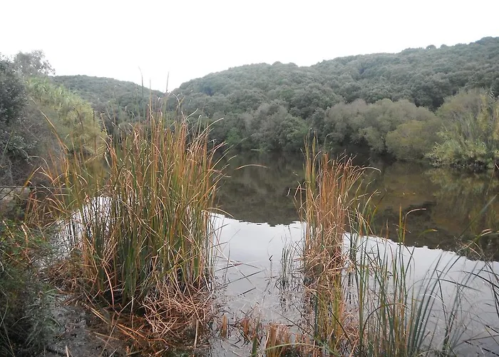 Stazzo Dell'antica Trebbia Villa