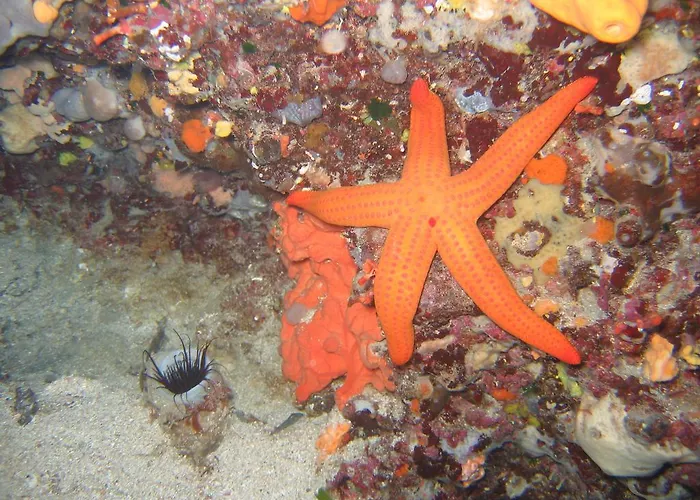 Stazzo Dell'antica Trebbia *