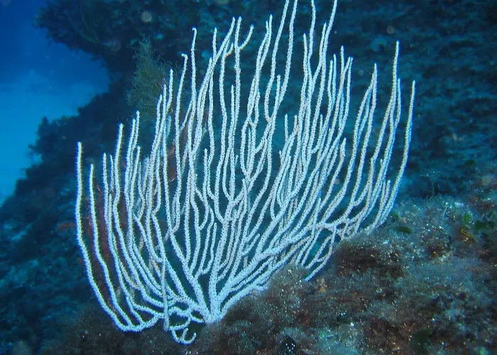 Villa Stazzo Dell'antica Trebbia *