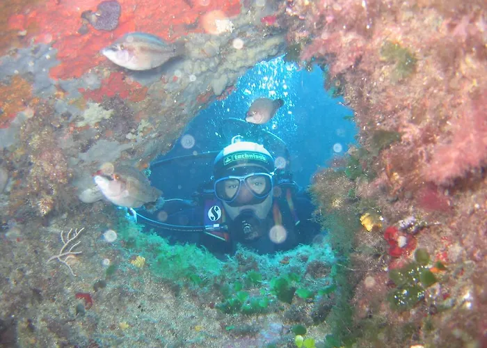 Villa Stazzo Dell'antica Trebbia