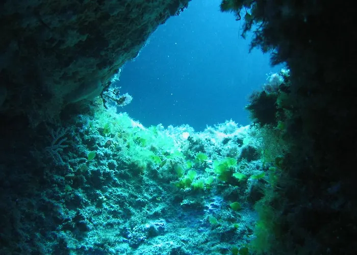 Stazzo Dell'antica Trebbia * Santa Teresa Gallura