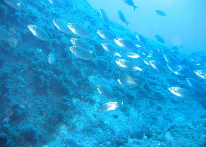 Stazzo Dell'antica Trebbia Villa Santa Teresa Gallura